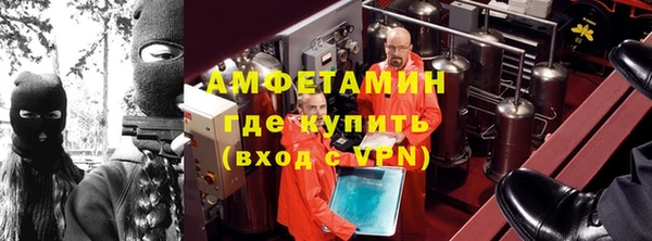 ГАЛЛЮЦИНОГЕННЫЕ ГРИБЫ Вязники